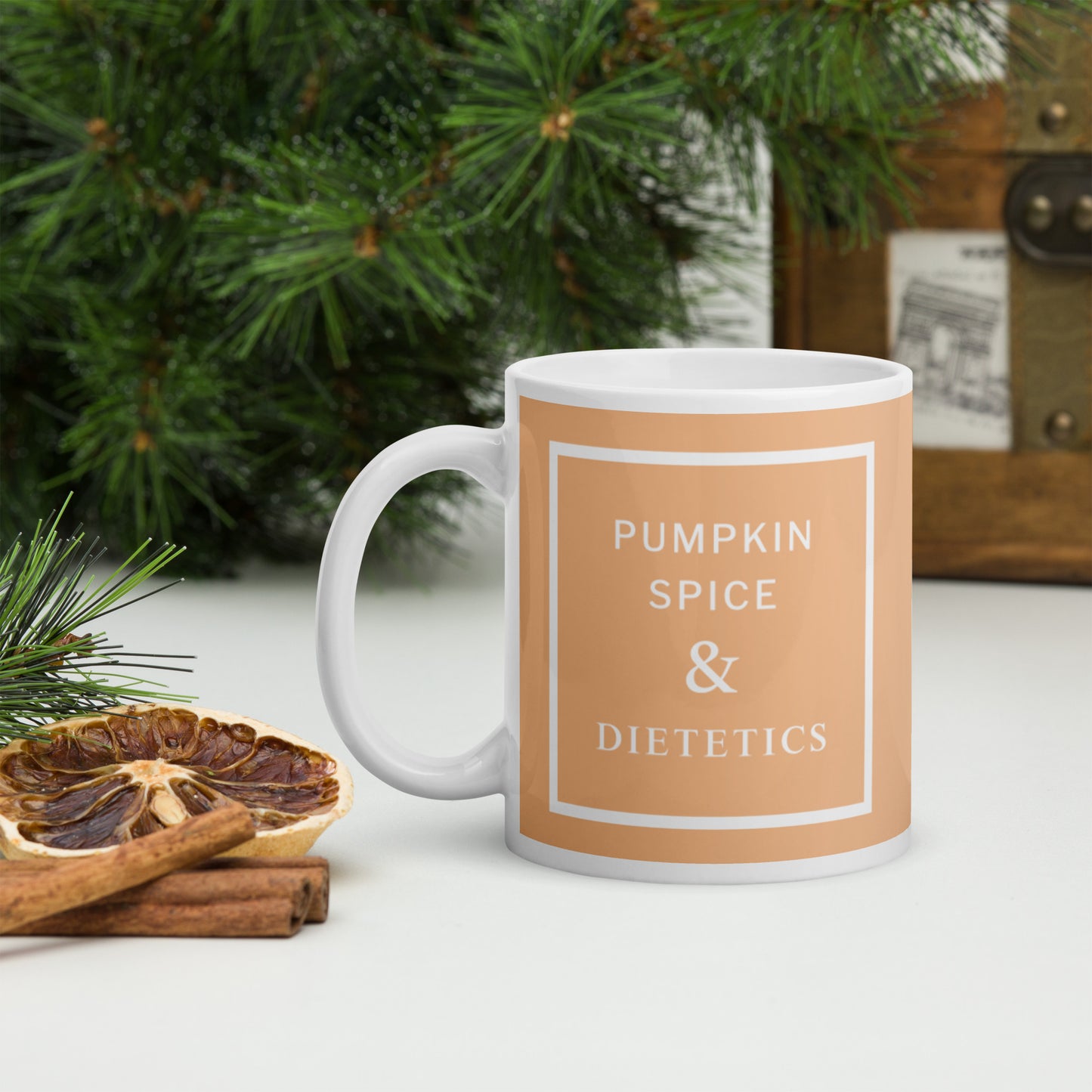 Pumpkin Spice & Dietetics 11 oz mug